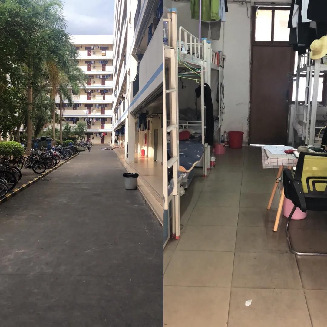 深圳坪山比亚迪待遇怎么样 - 实验室设备网