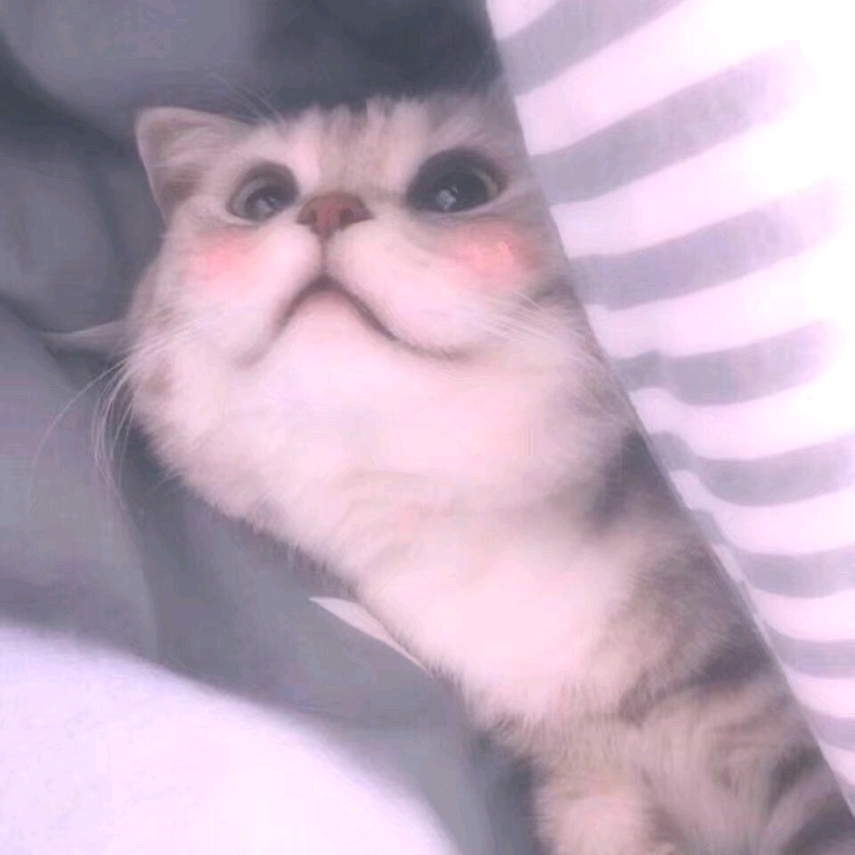 推文《想飞升就谈恋爱》