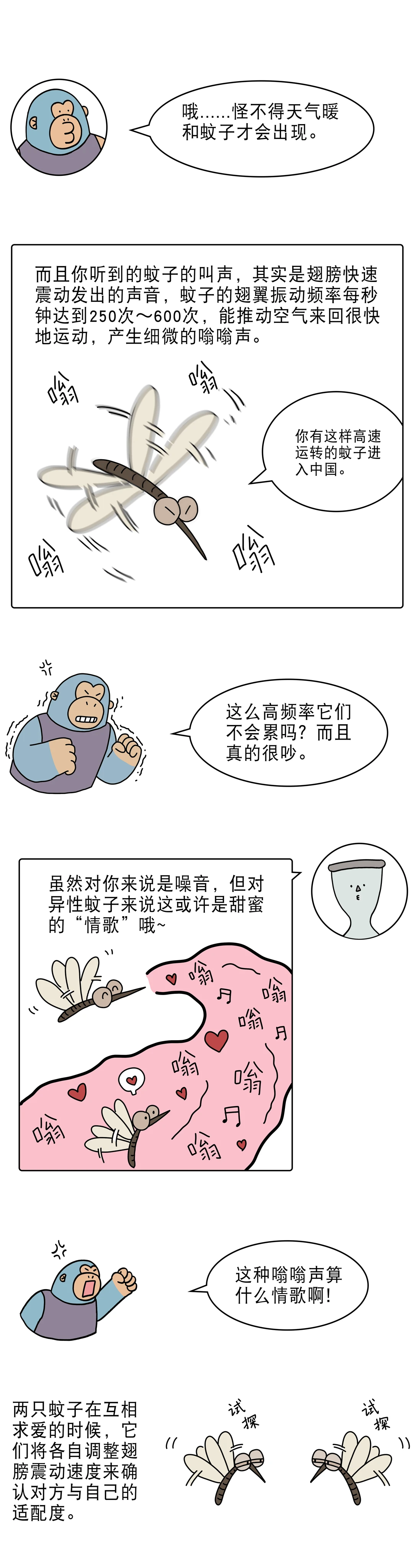蚊子嗡嗡叫竟然是在做这种事2