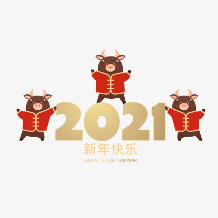 野孩子提前祝大家2021年新年快乐 一切顺顺利利平平安安 手动档驾驶技术越来越牛牛牛 哔哩哔哩