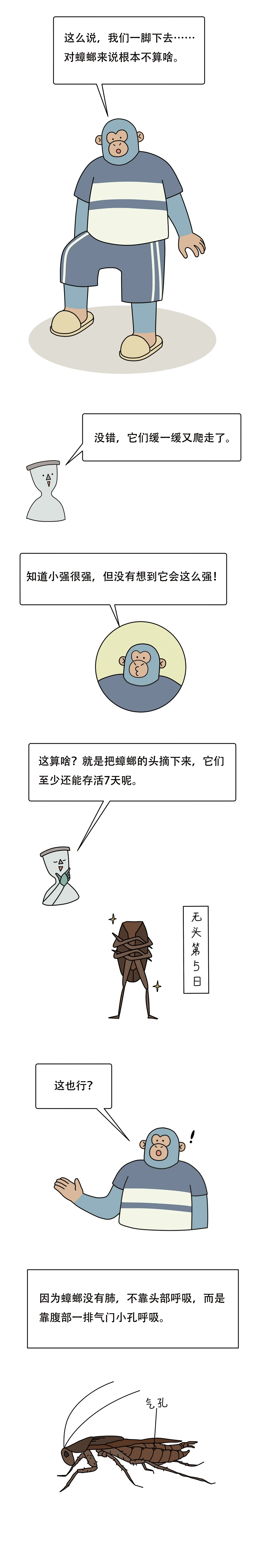 为什么蟑螂看起来虚弱却很难杀3