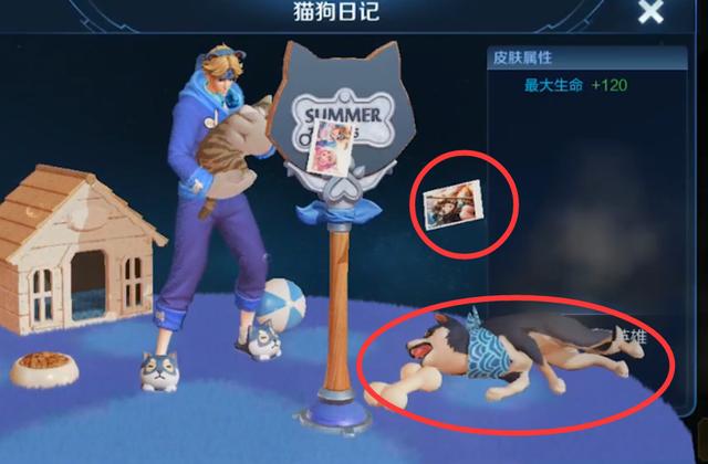 王者荣耀 孙策情侣皮肤猫狗日记出场动作 太无视大乔的照片了