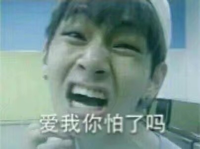 当你饭上了女idol（弟弟line）