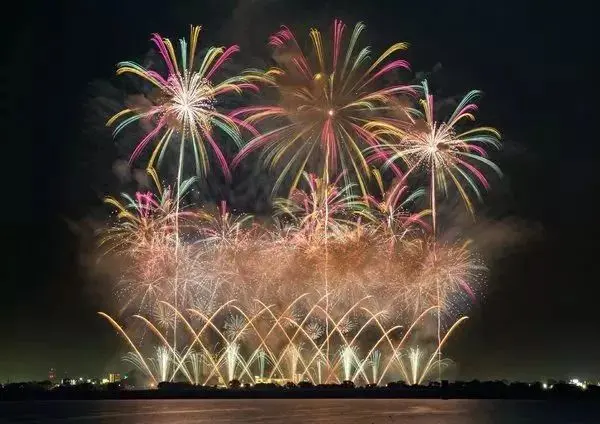 夜空中绽放的花朵 关东地区的人气 烟火大会 19年度 哔哩哔哩