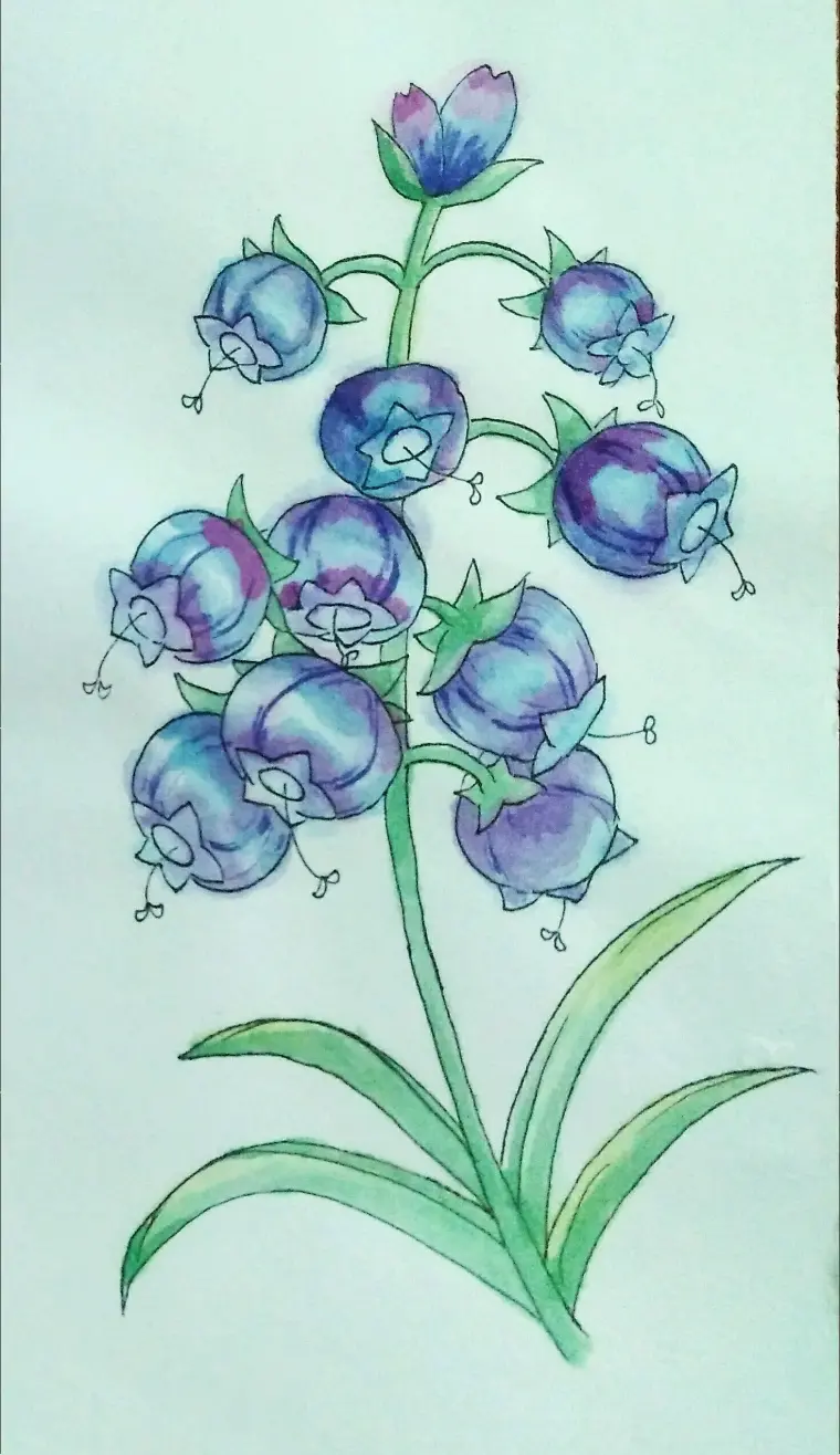 一只会飞的扫帚 Z 哔哩哔哩