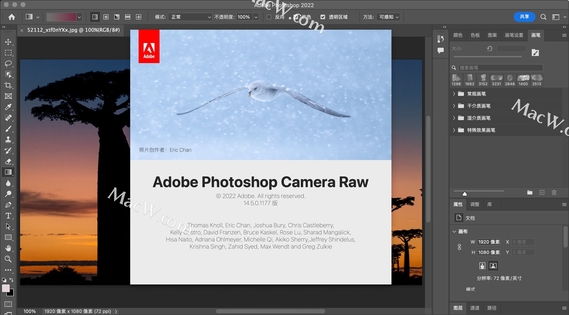 Adobe Camera Raw for Mac(Raw格式图像ps插件) v15.1.1中文激活版 - 哔哩哔哩