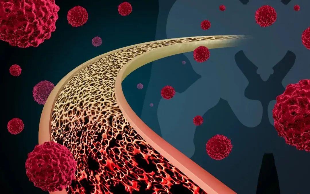 骨髓分为哪些种类？它都有哪些功能？ - 哔哩哔哩