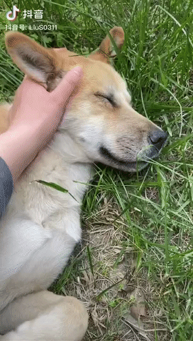 280_494竖版 竖屏gif 动态图 动图