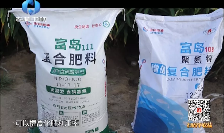 中国海油富岛化肥图片