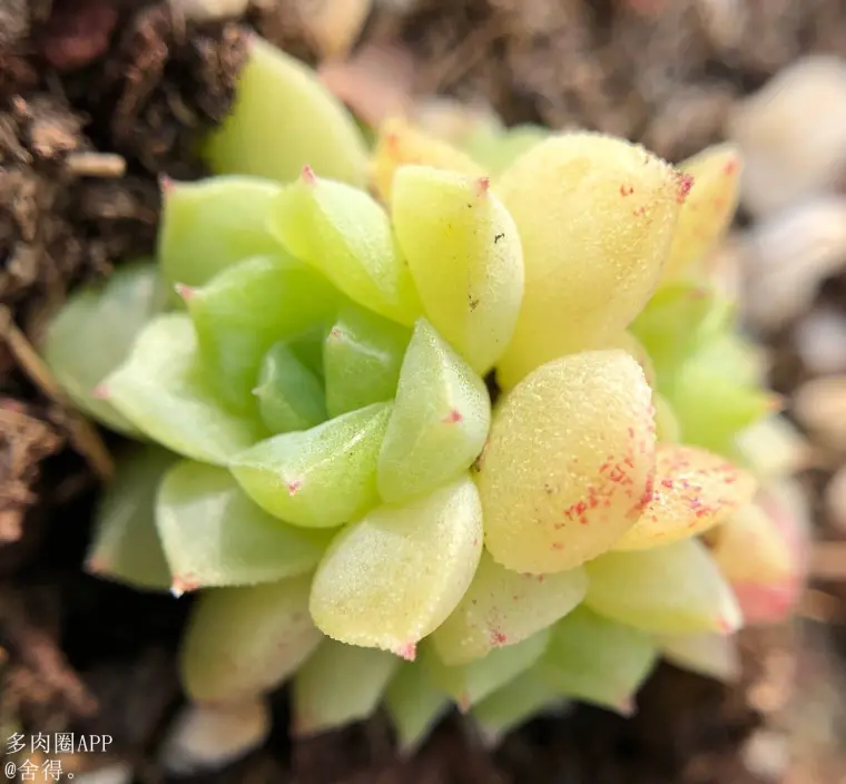 原来土壤中还含有这么病菌 消毒的重要性你都知道吗 速看 哔哩哔哩