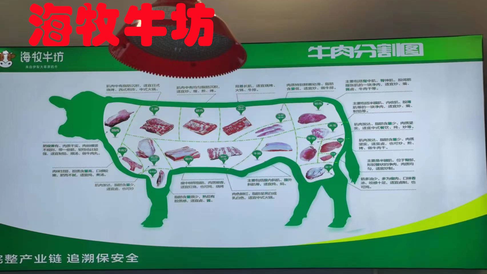 牛肉的介绍—牛肉的营养价值及营养成分，牛肉_牛肉的来源 - 哔哩哔哩