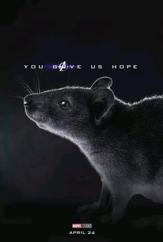 We Won Mr Stark 复仇者联盟4剧情详解及时间线详细梳理 哔哩哔哩 We Won Mr Stark 复仇者联盟4剧情详解及时间线详细梳理 哔哩哔哩