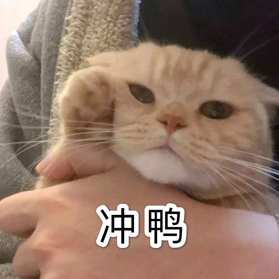 玩具野狼污大将厕狸猫 https://t.bilibili.com/467417678763215924?