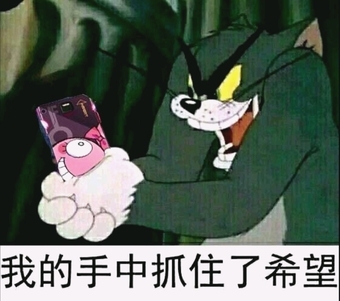 崩坏3萌系℡表情包