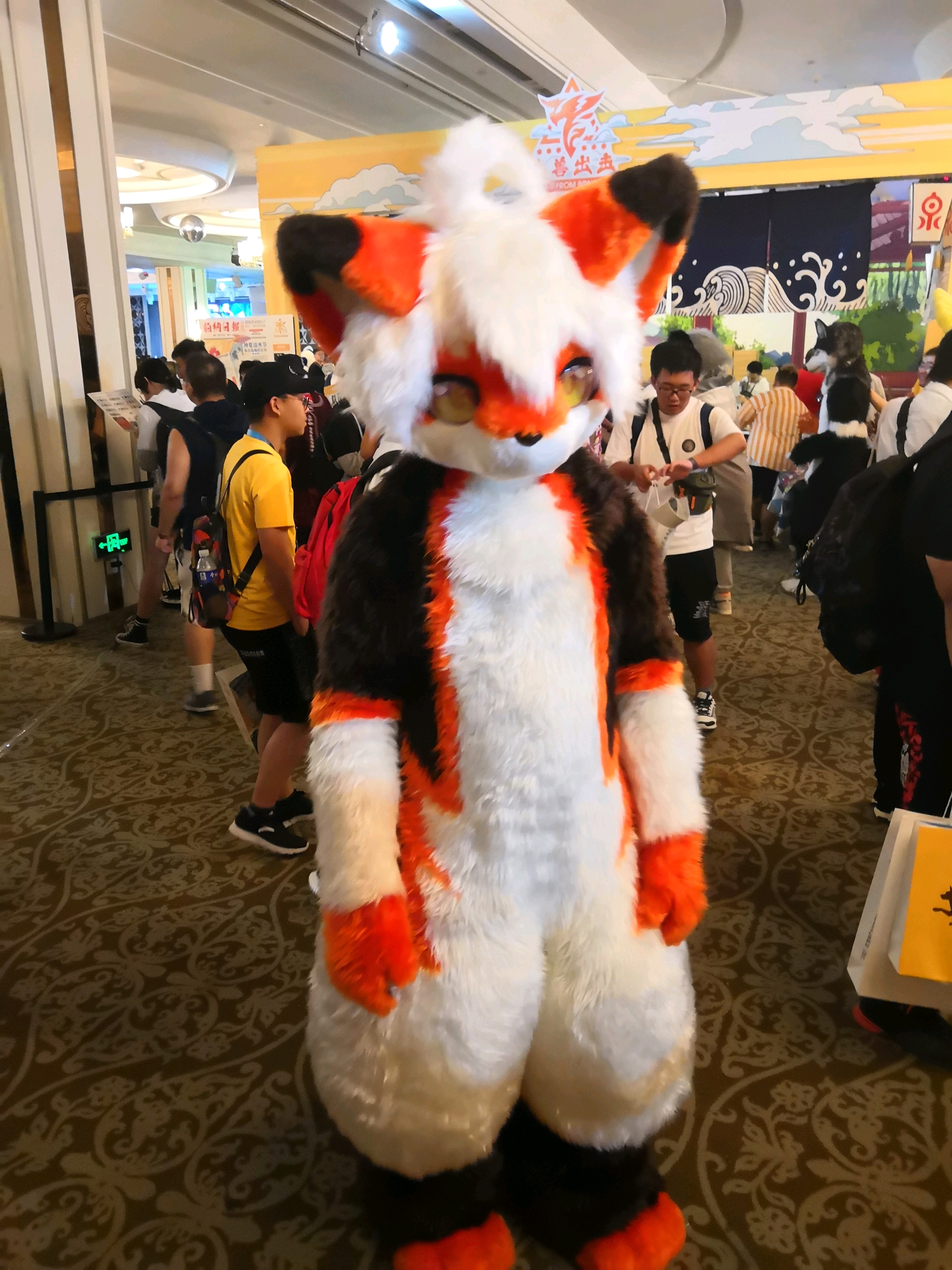 2019 728极兽聚返图及感想