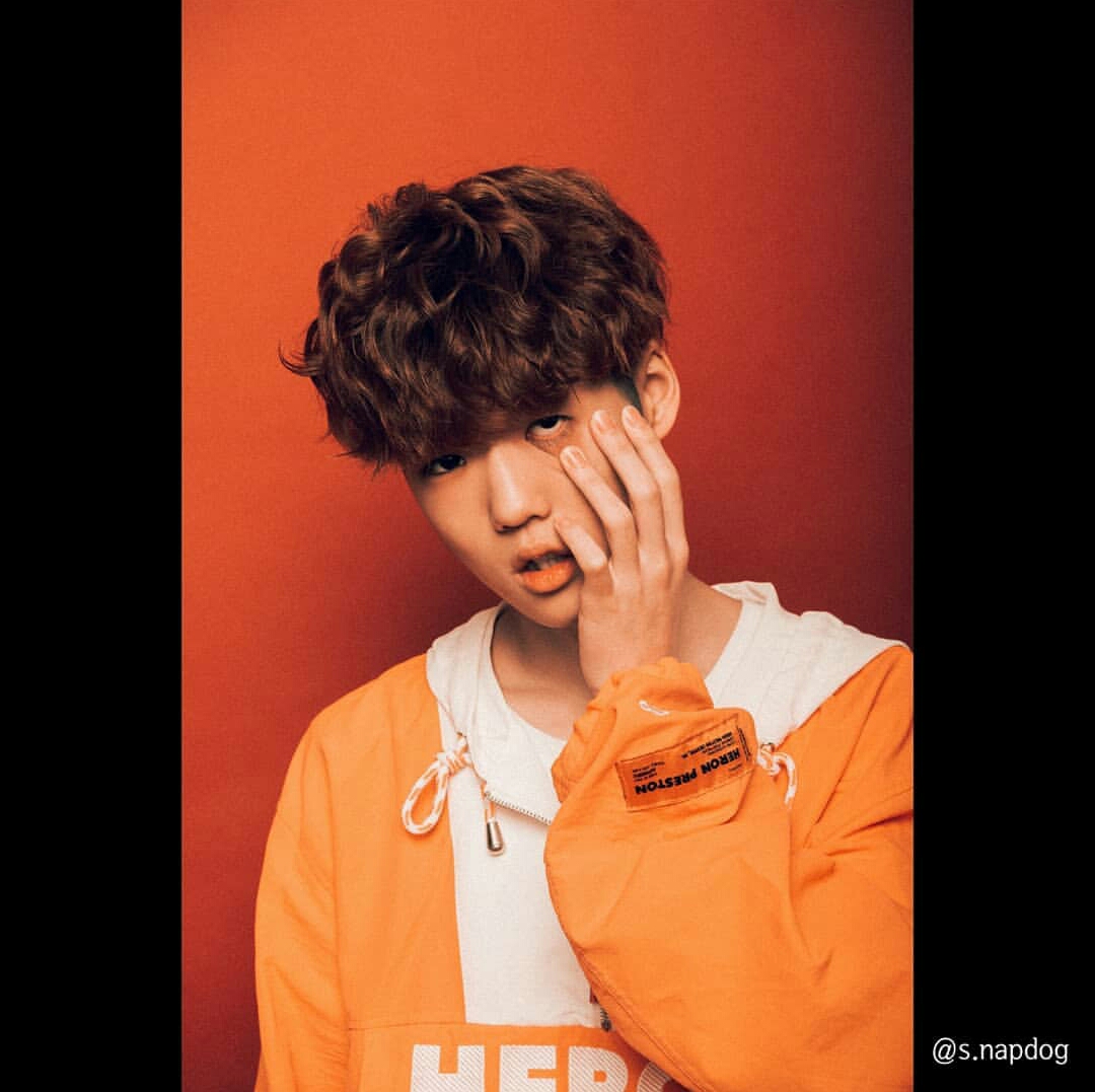 〔李炳宰VENXIN 金夏温HAON〕近期ins更新2