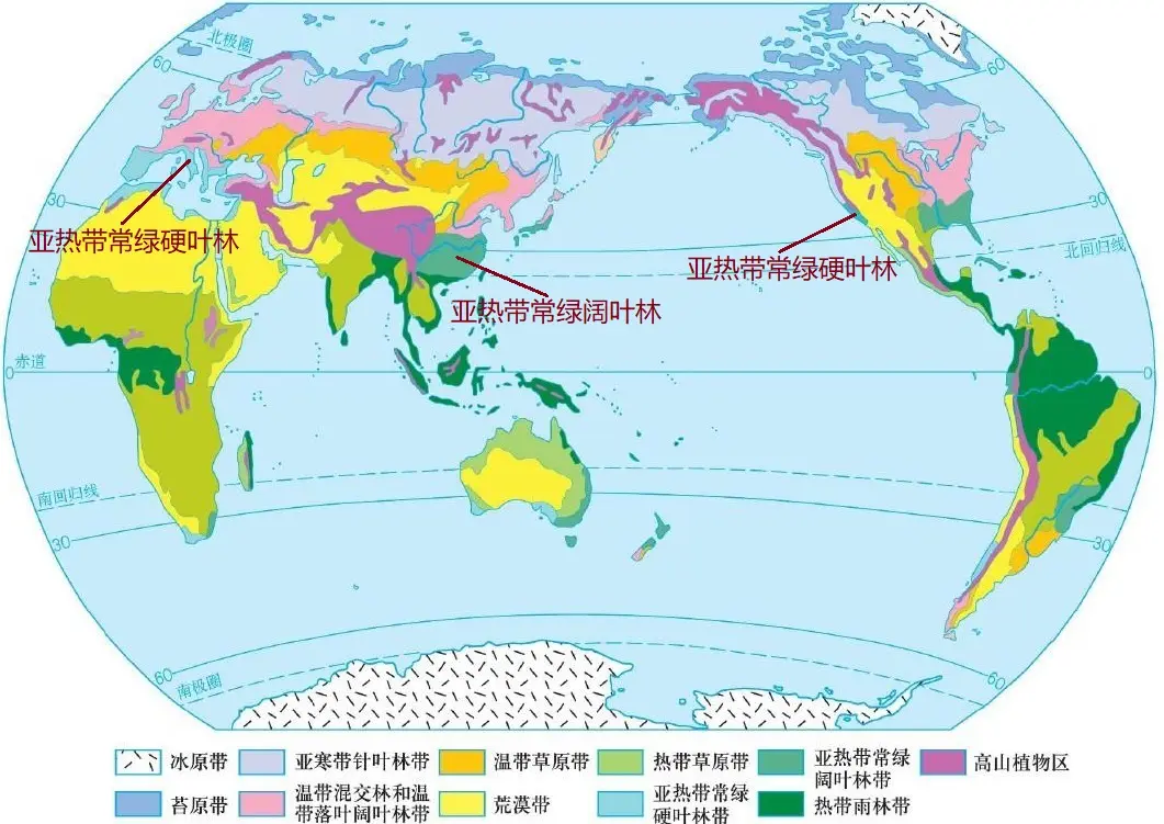 常绿硬叶林分布图片