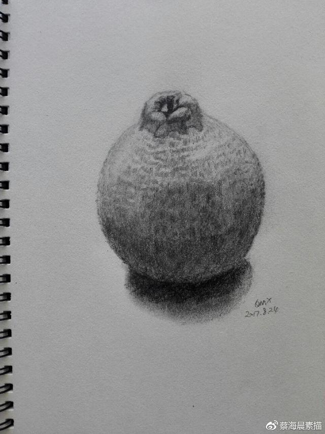 首名文稿投稿学员素描篇网络学员四叶草全集作品展示