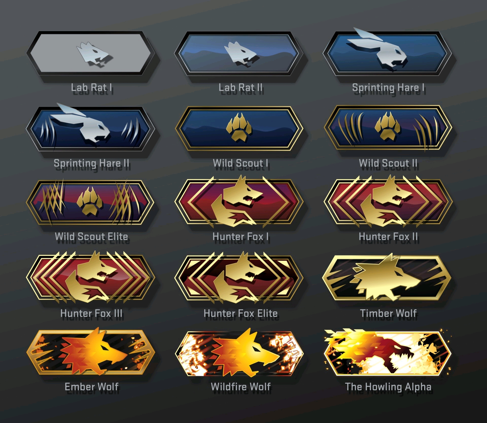  CSGO 