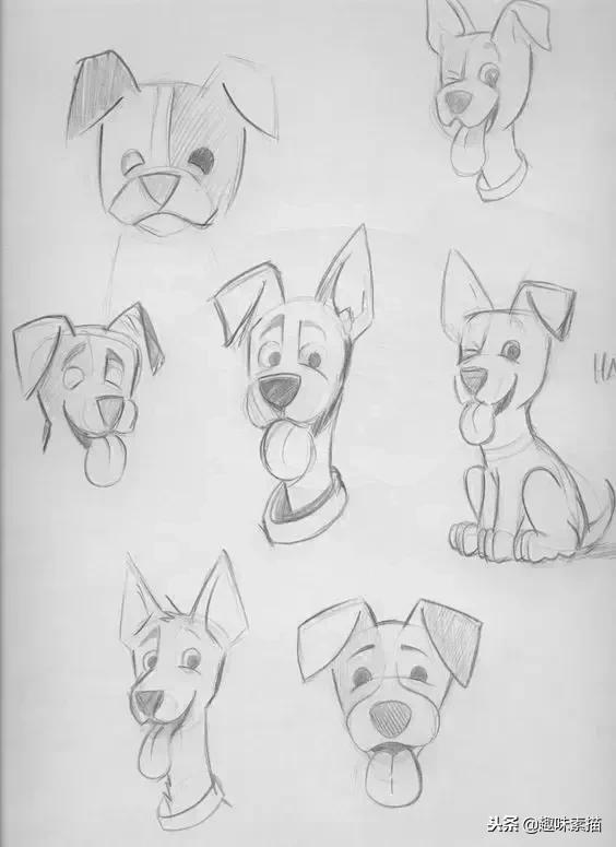 够你画一整年的动物速写教程!