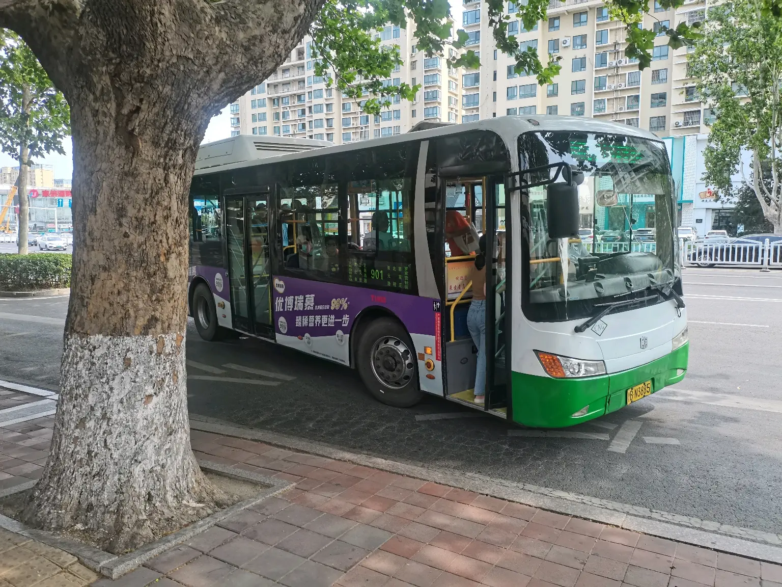 青岛公交901路线路简介