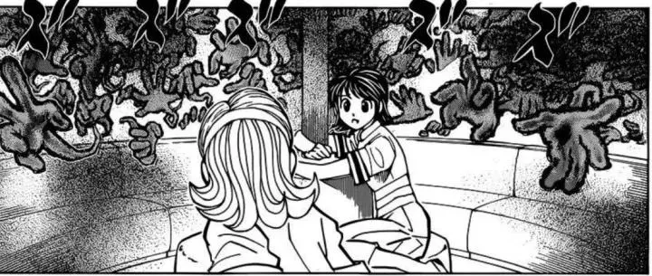 全职猎人 卡金帝国第十王子 第十一王子 卡卓 灰郭肉 芙盖茨 灰郭肉 哔哩哔哩