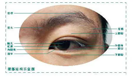 画素描重在观察和理解手把手教学 哔哩哔哩