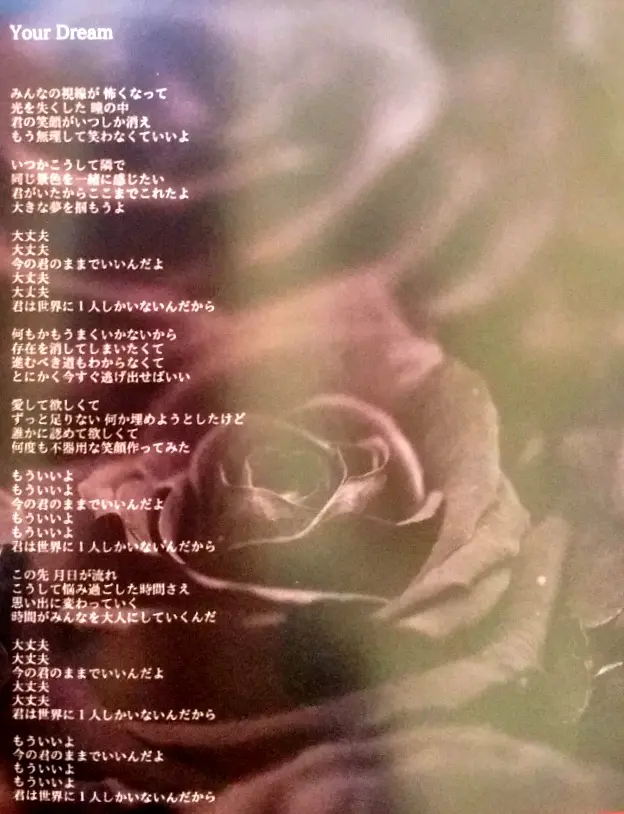 相机 Vanan Ice Scl Project Addicted Red Bk 部分歌词 哔哩哔哩