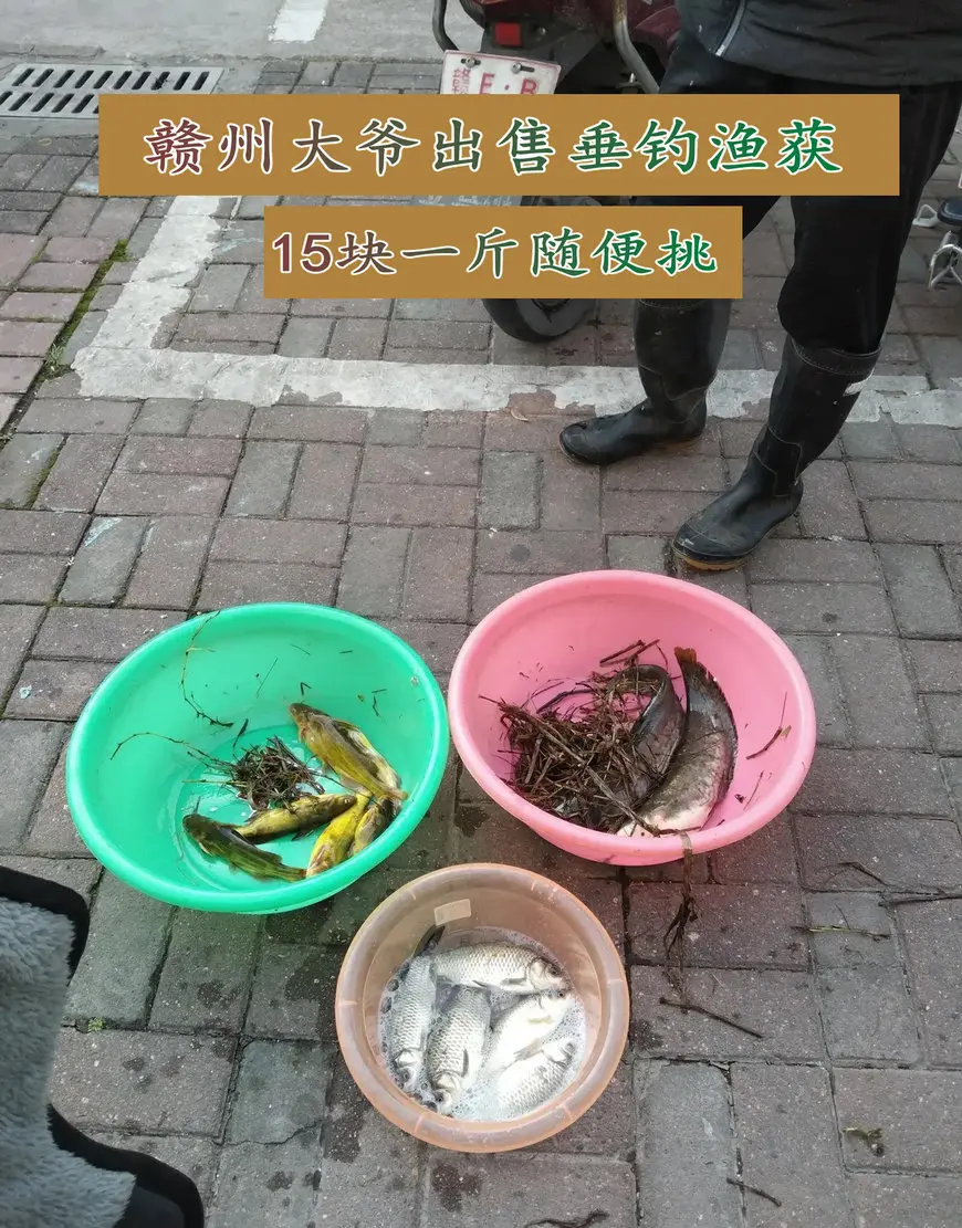 一把水草,一双雨靴,江西大爷每天15元一斤卖几十斤鱼获,从不空军