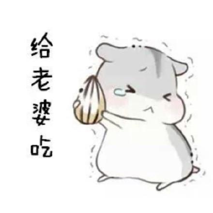 史莱姆分类汇总黄油泥建议收藏