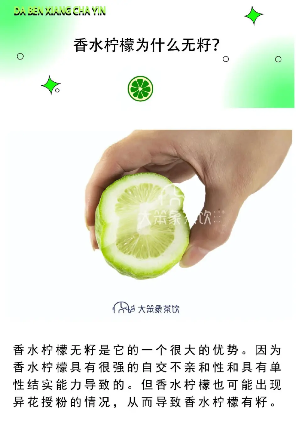 知识大全 关于广东香水柠檬 看这篇就够了 哔哩哔哩