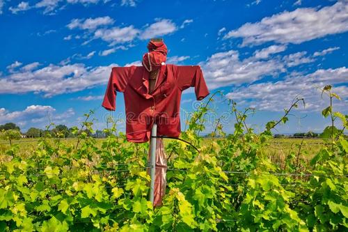 都市传说扭扭人