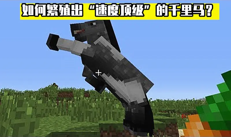 Minecraft 马的遗传基因学 如何繁殖出一匹 日行千里 的飞马 哔哩哔哩