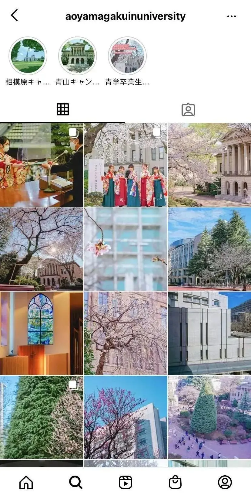 名校志向塾 你可能真的不了解现在的青学 哔哩哔哩