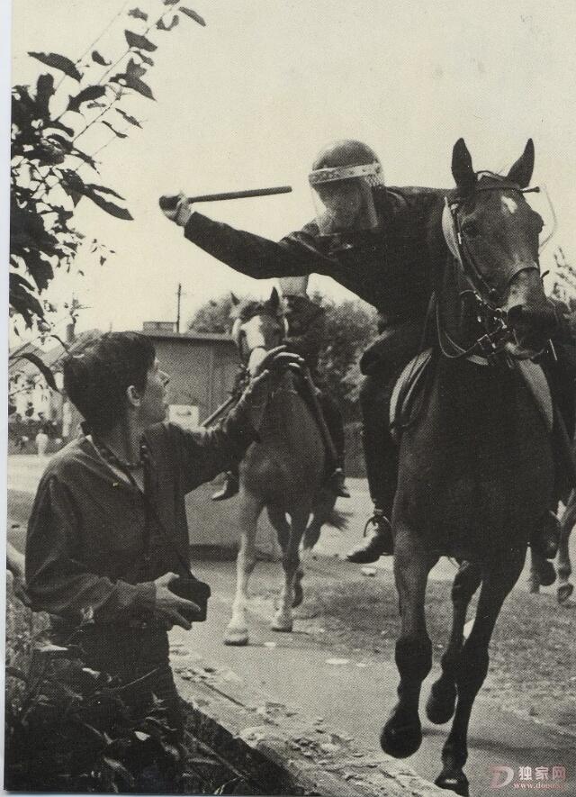 招人文案_招人_招人在哪个网站比较好找