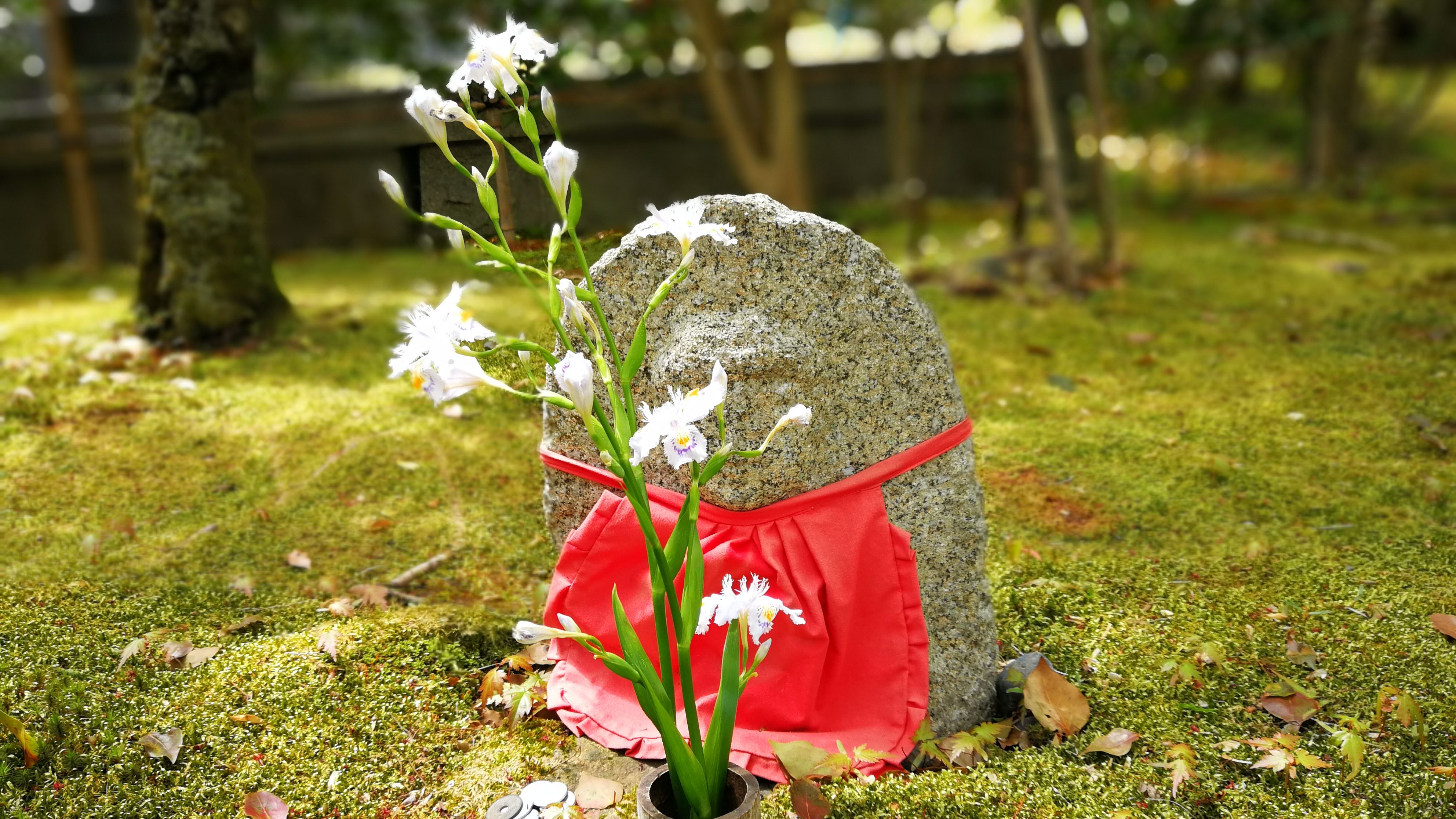 日本人是如何解释 大きな 和 大きい 的区别的 哔哩哔哩