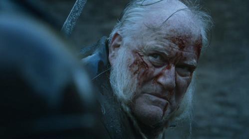 《权力的游戏》中的九大骑士都有谁?美人布蕾