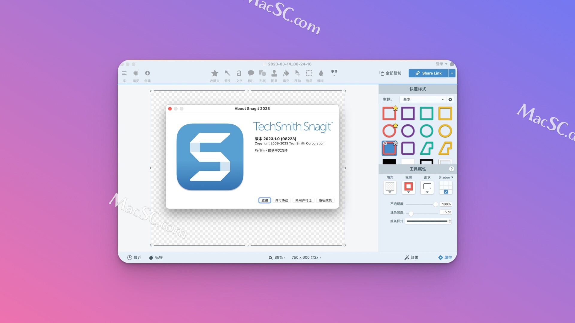 for mac download TechSmith SnagIt 2024.0.1.555