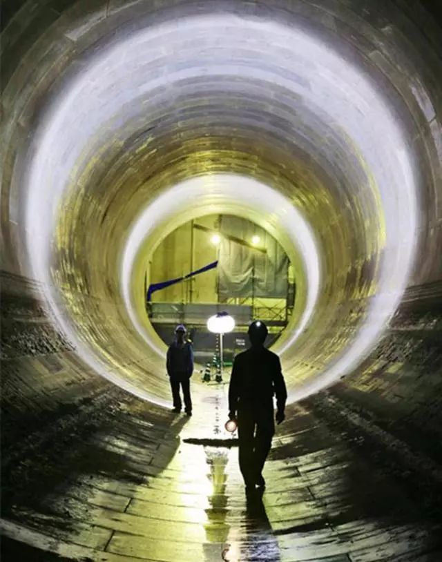 还促进了城市生态系统,让雨水可以渗入土地,补充地下水源