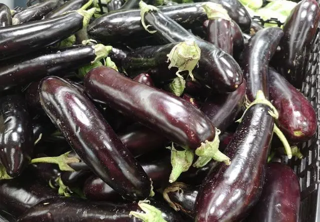 买茄子 有人挑弯的有人选直的 菜农大妈 别瞎挑 不懂就白吃了 哔哩哔哩