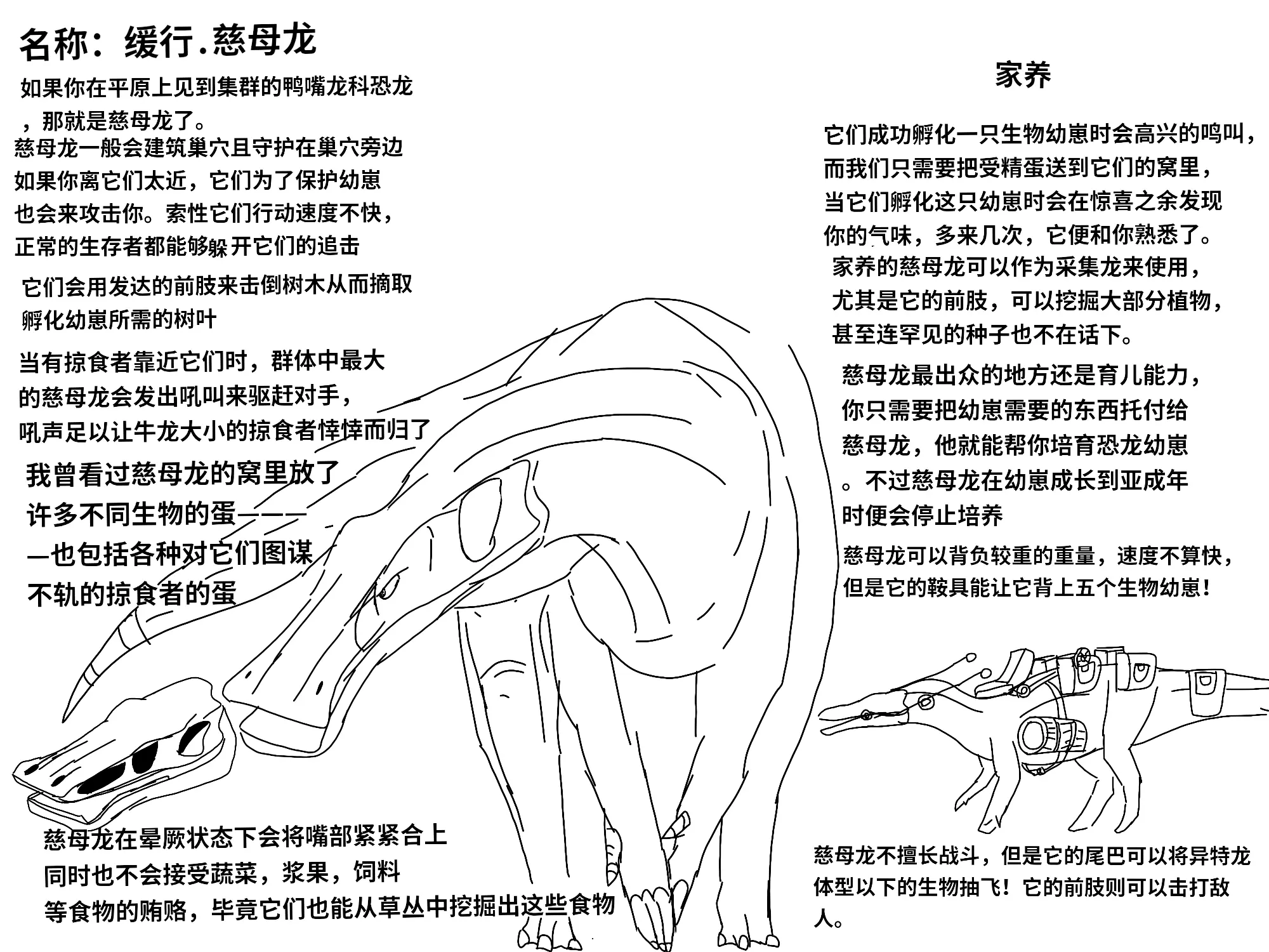 慈母龙恐龙简笔画图片