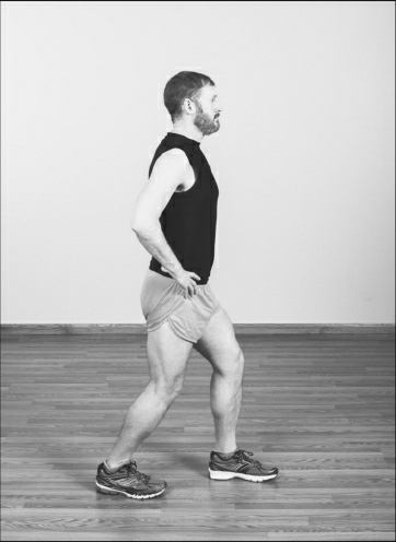 图2 无倚靠拉伸比目鱼肌