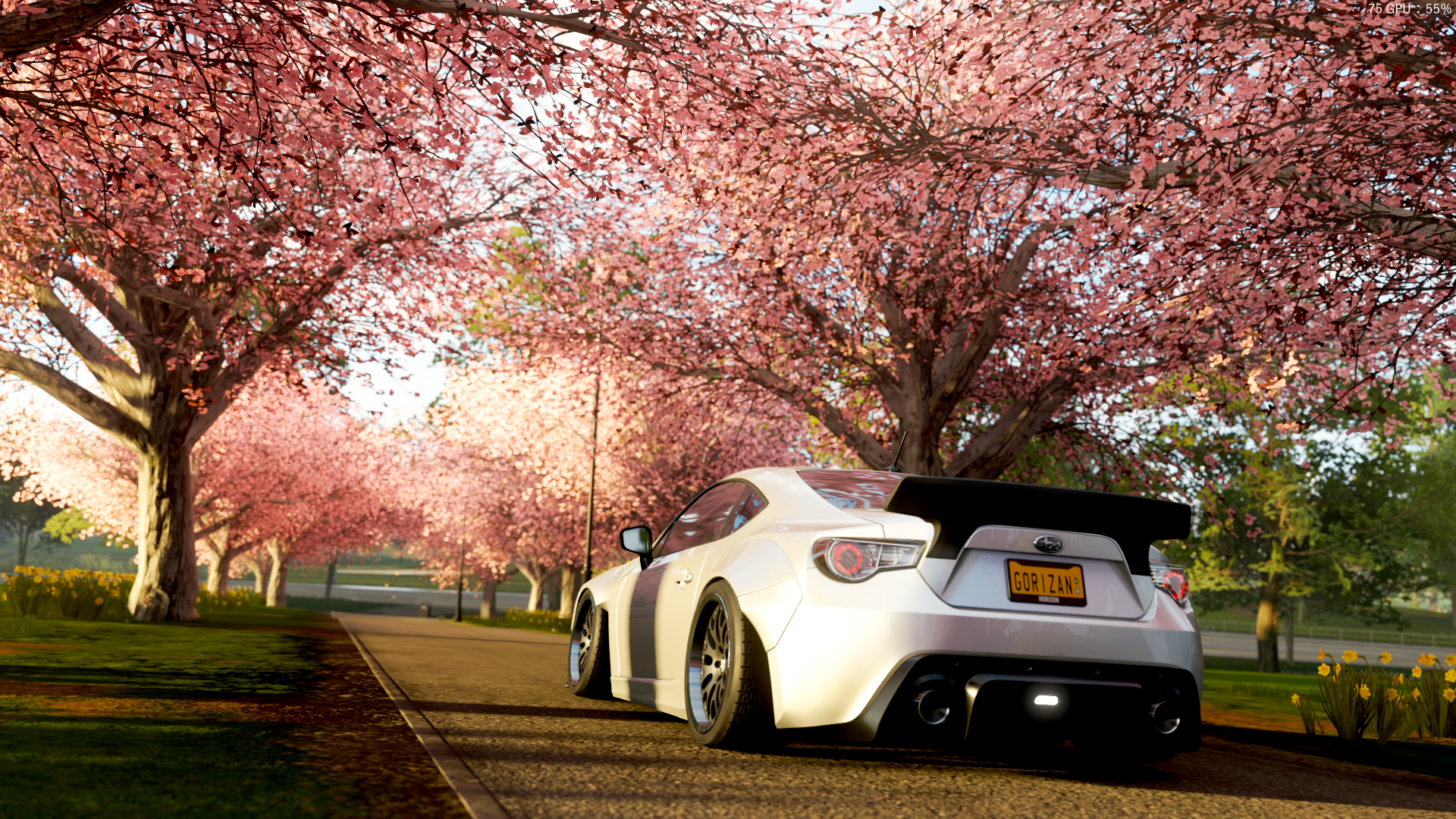 (樱花 花海 篇)极限竞速 地平线4个人摄影作品分享