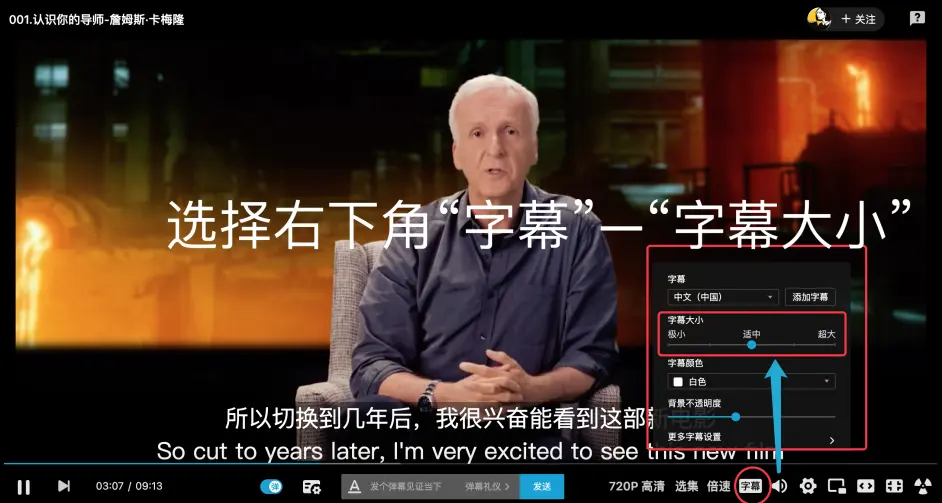 如何调整b站视频cc字幕大小 仅限网页端 哔哩哔哩
