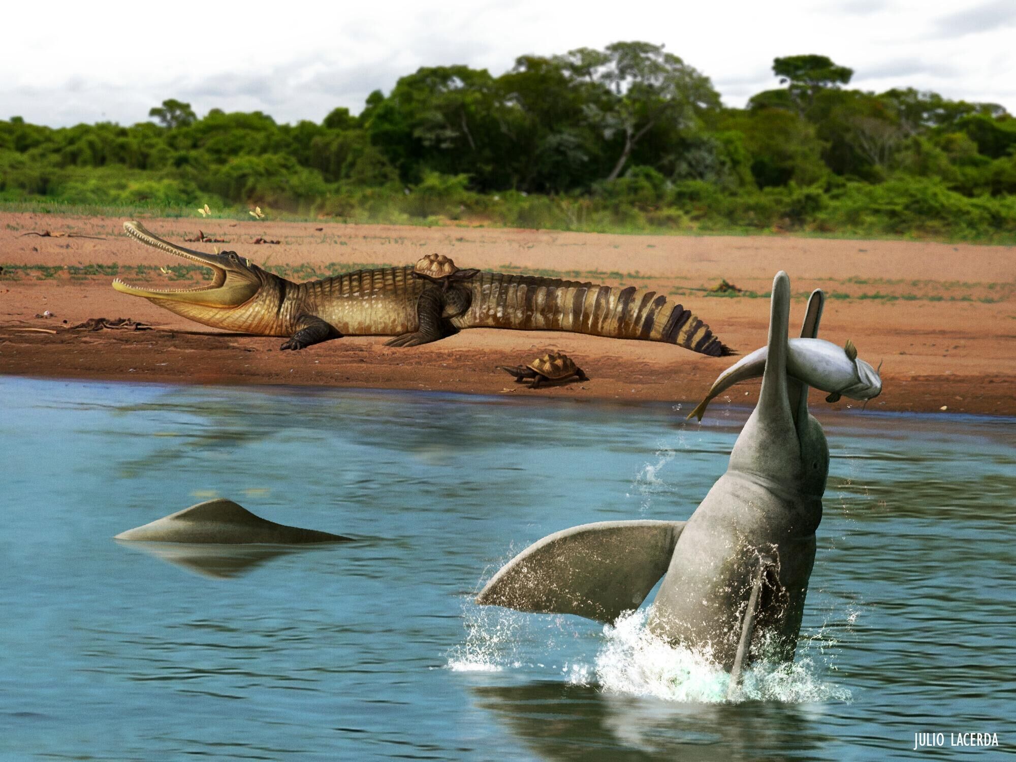 生活在非洲的史前巨鳄能吞恐龙 - 知乎