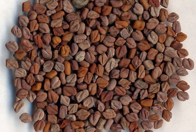 神秘肉培根卷核子蟹【辐射系列官方菜谱-前菜