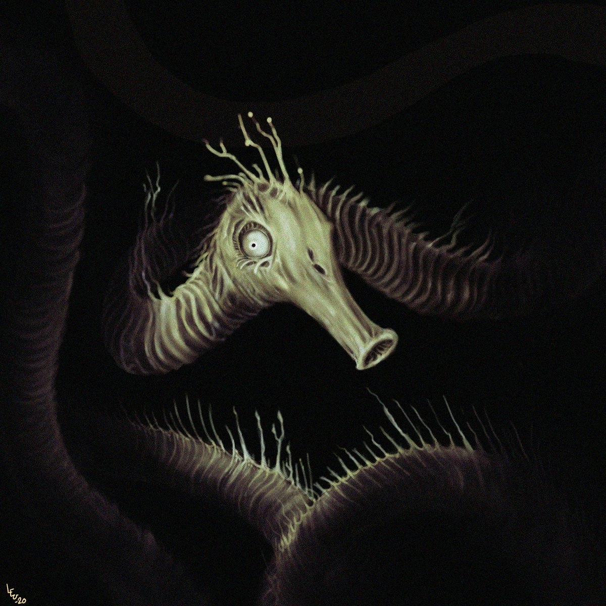 leovincible故事海长马seahorse