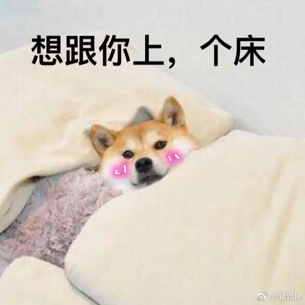 耽美小说系列推荐 年下小狼狗 哔哩哔哩