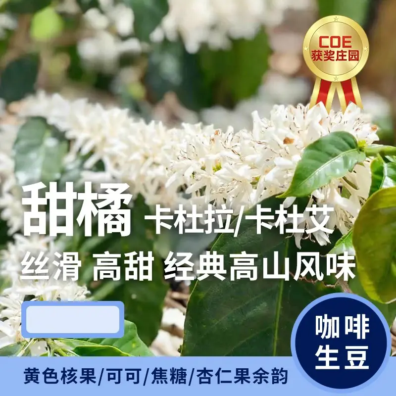 21年7月新到港哥斯达黎加咖啡 哔哩哔哩