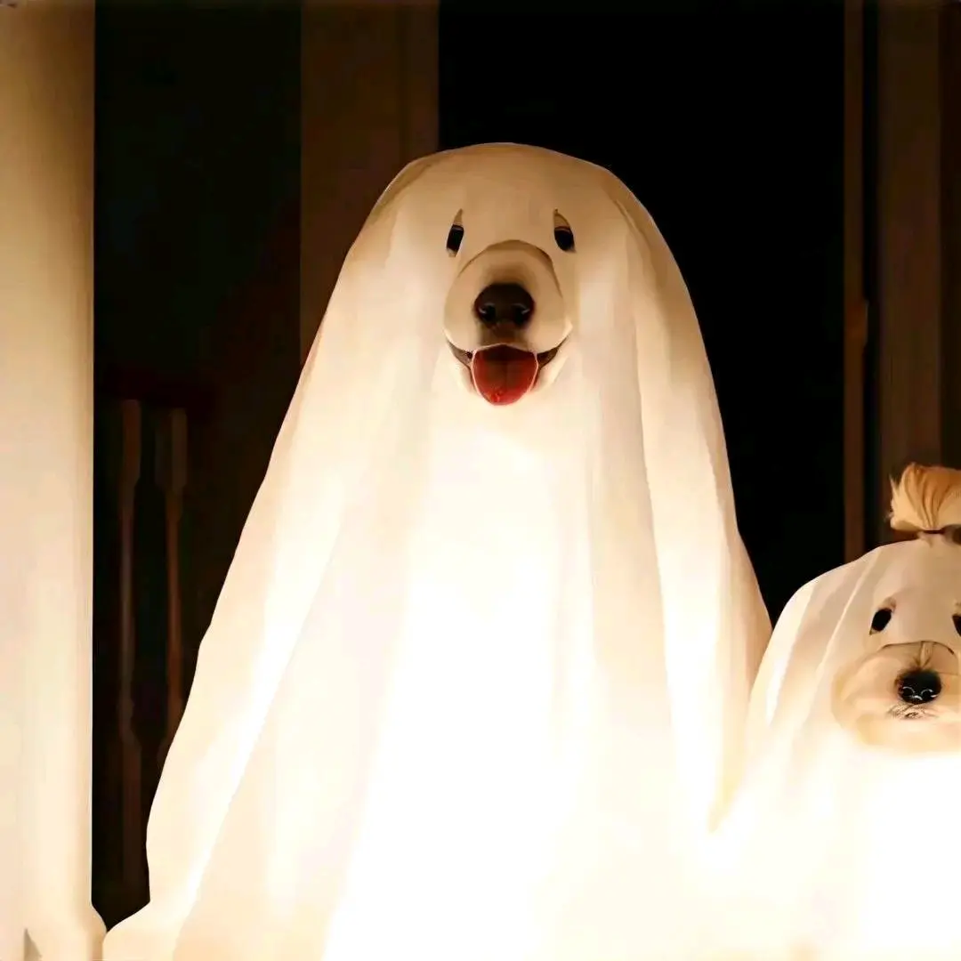 有点毛病的情头合集